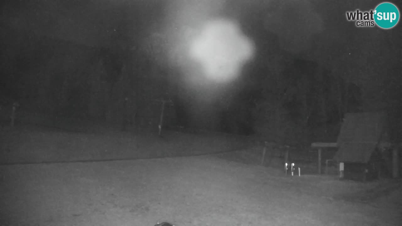 Ski Kranjska Gora | Velika Dolina