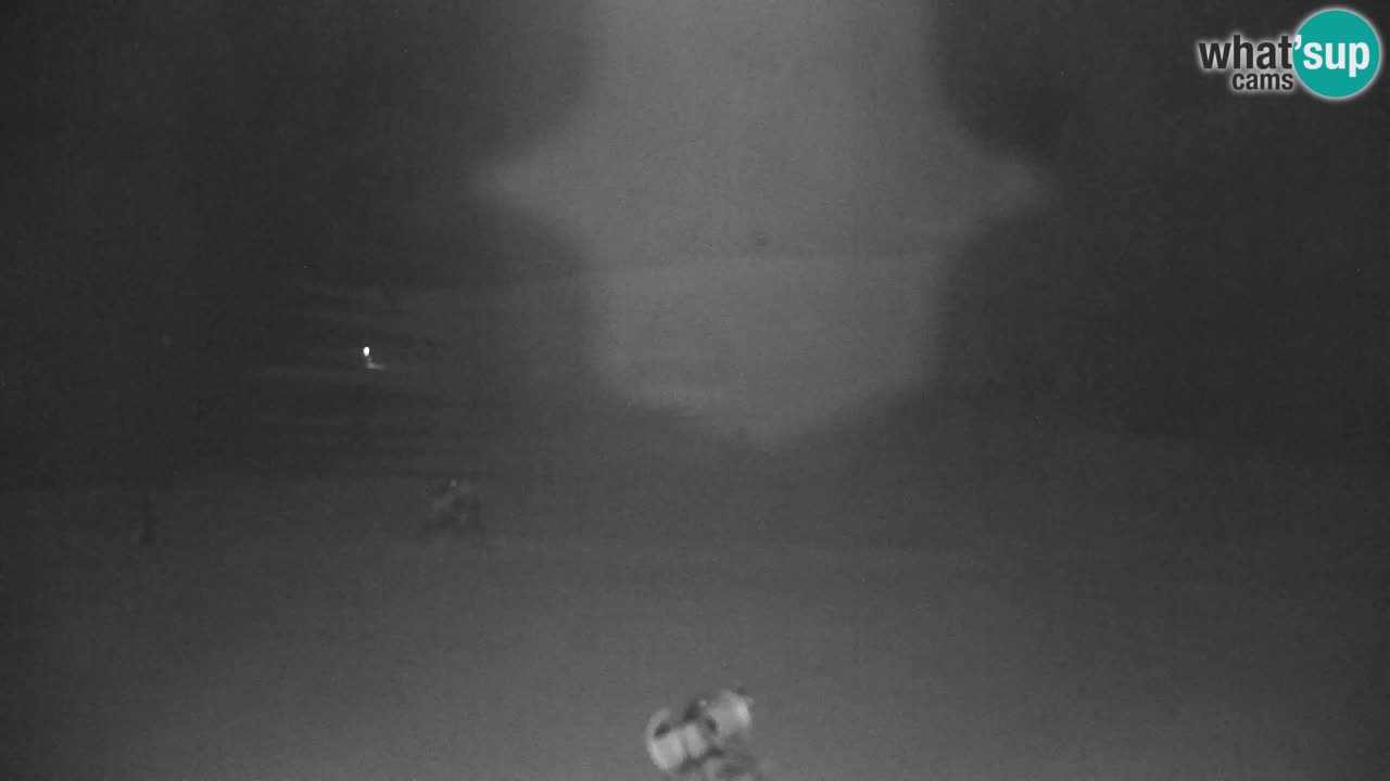 Skigebiet Kranjska Gora | Velika Dolina