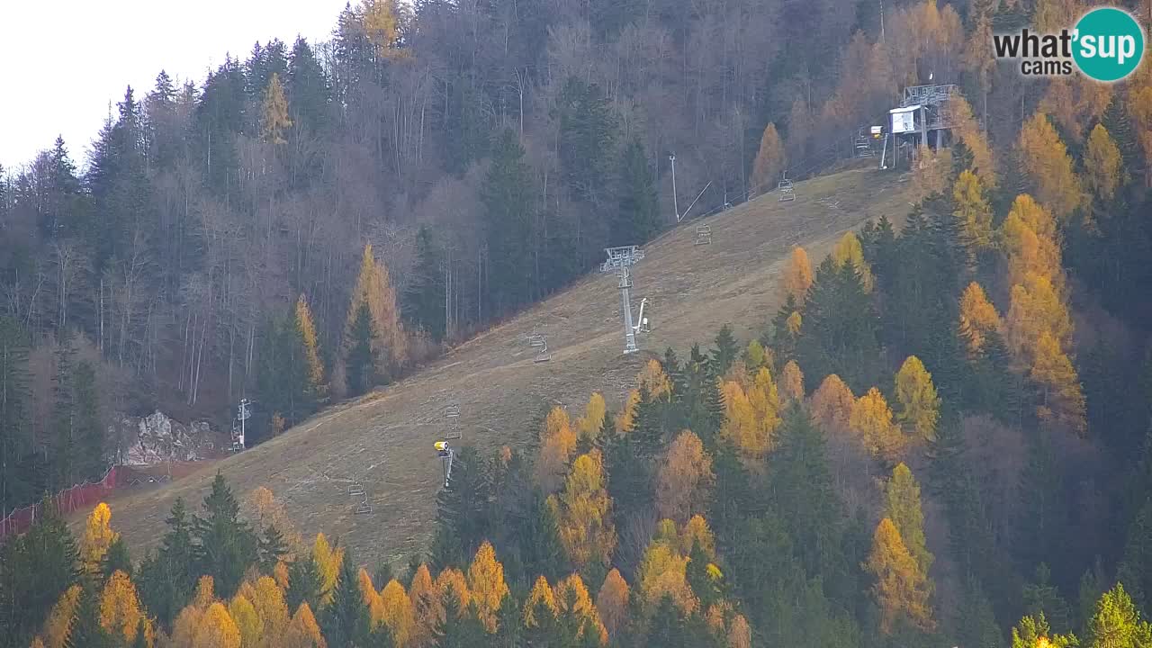 Ski Kranjska Gora | Velika Dolina