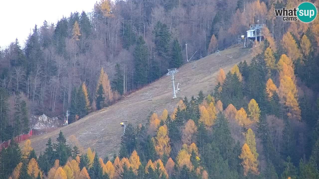 Skijanje Kranjska Gora | Velika Dolina