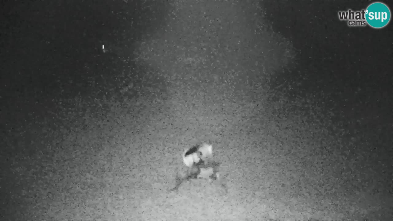 Kranjska Gora | Velika Dolina