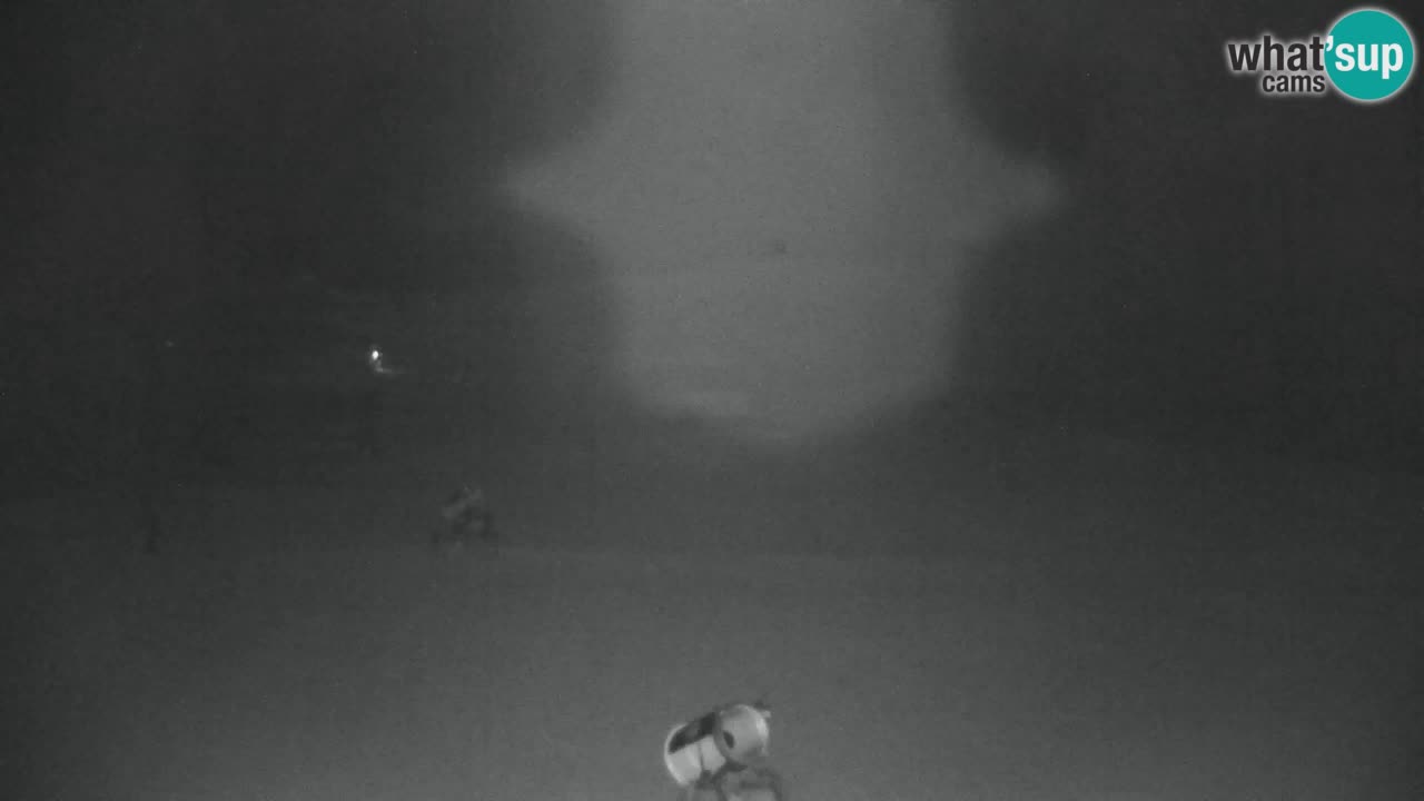 Skigebiet Kranjska Gora | Velika Dolina