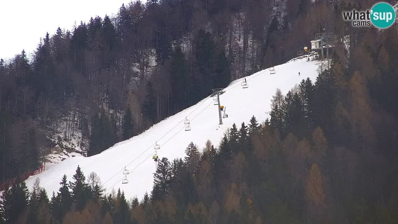 Ski Kranjska Gora | Velika Dolina