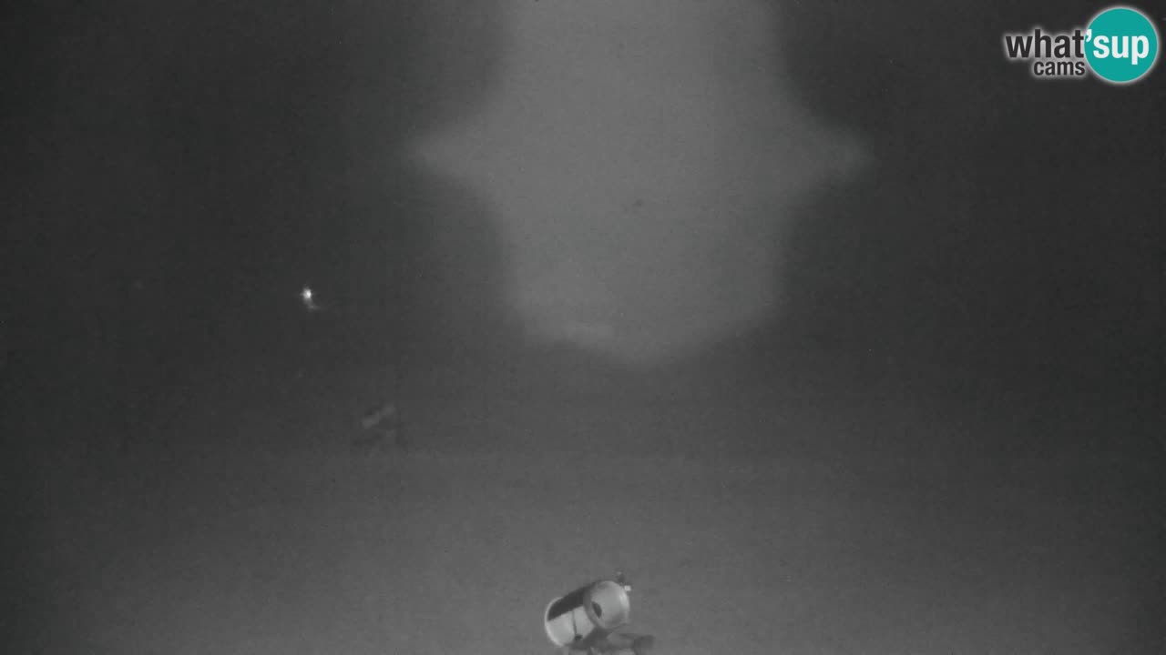 Ski Kranjska Gora | Velika Dolina