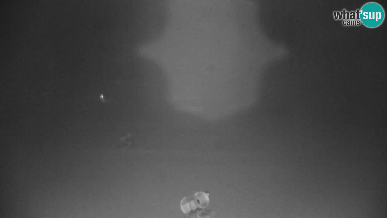 Ski Kranjska Gora | Velika Dolina