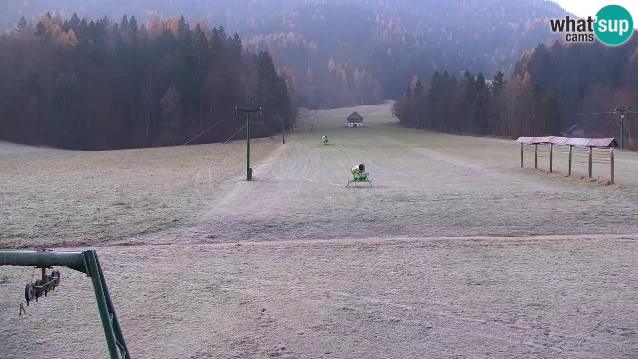Skigebiet Kranjska Gora | Velika Dolina