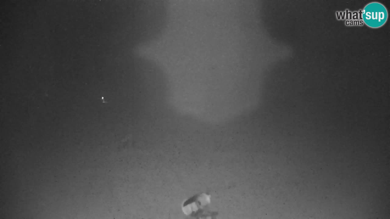 Estación de esquí Kranjska Gora | Velika Dolina