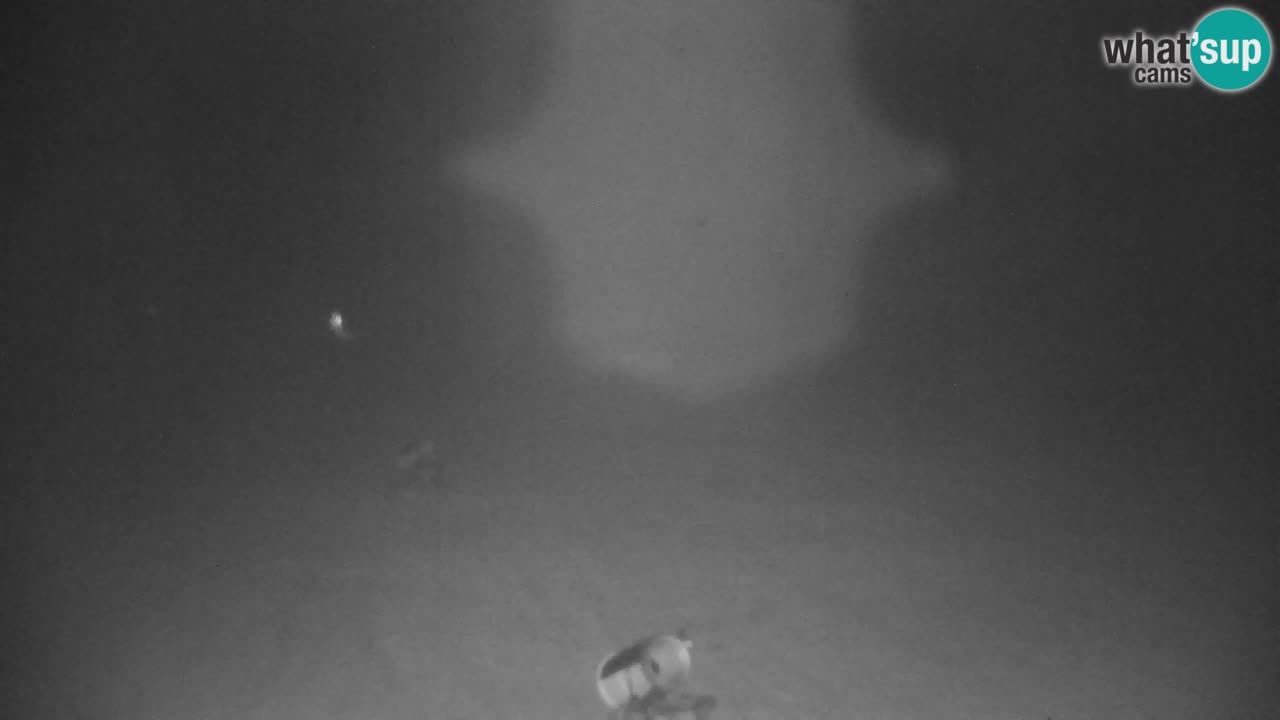 Skigebiet Kranjska Gora | Velika Dolina