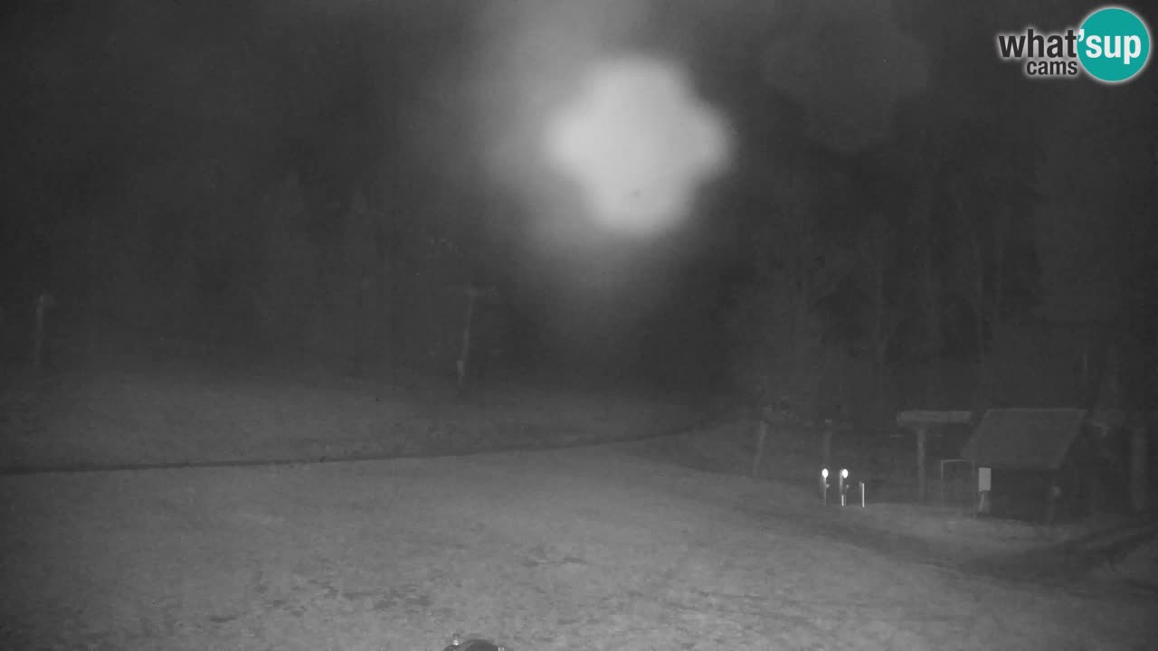 Ski Kranjska Gora | Velika Dolina