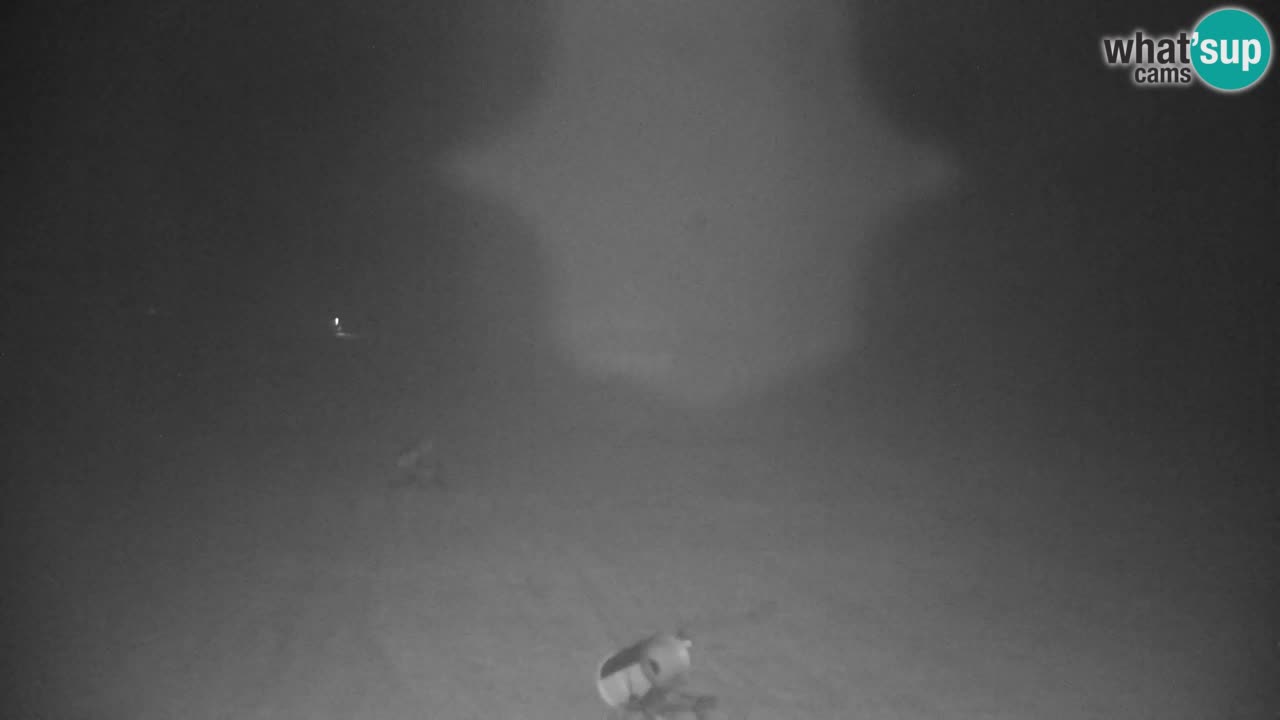 RTC Kranjska Gora | Velika Dolina