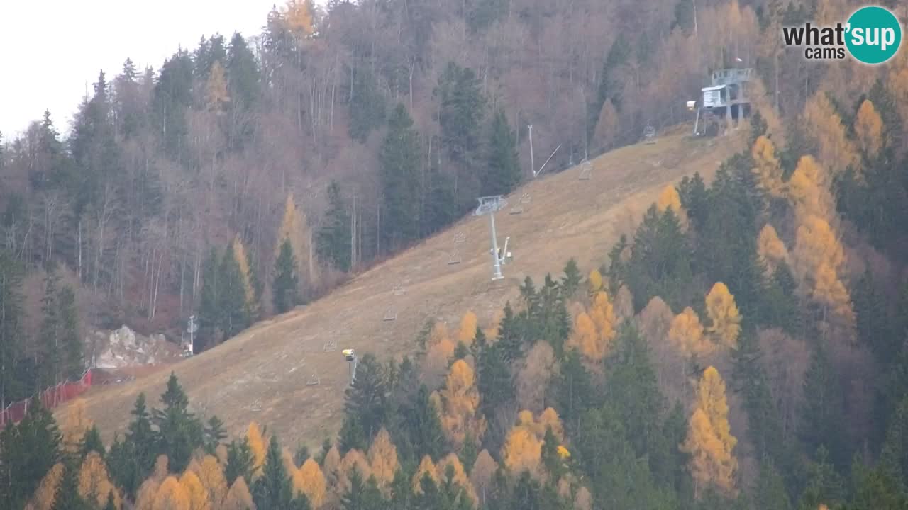 Skijanje Kranjska Gora | Velika Dolina