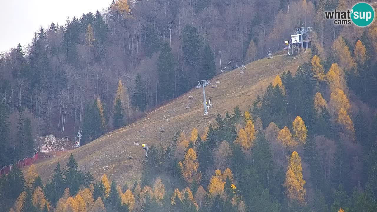 RTC Kranjska Gora | Velika Dolina