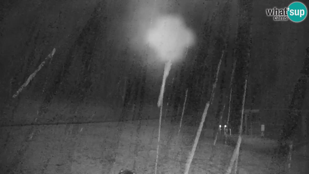 Skigebiet Kranjska Gora | Velika Dolina