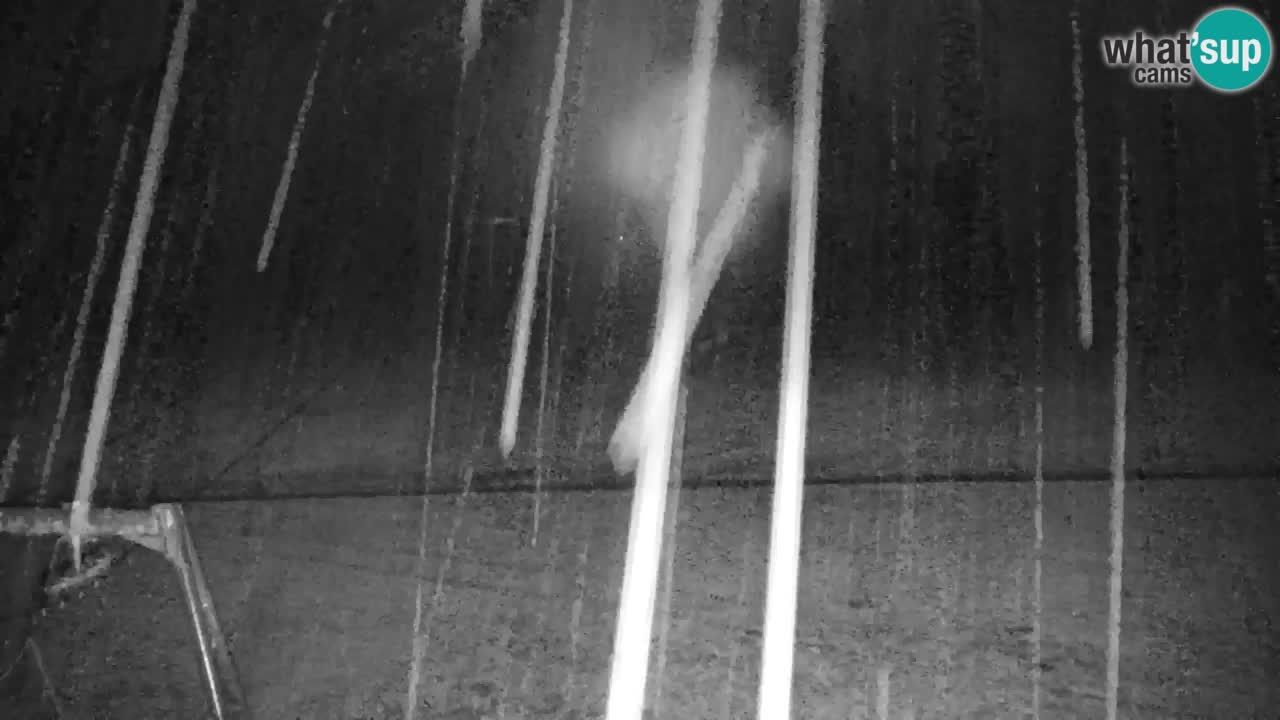 Estación de esquí Kranjska Gora | Velika Dolina