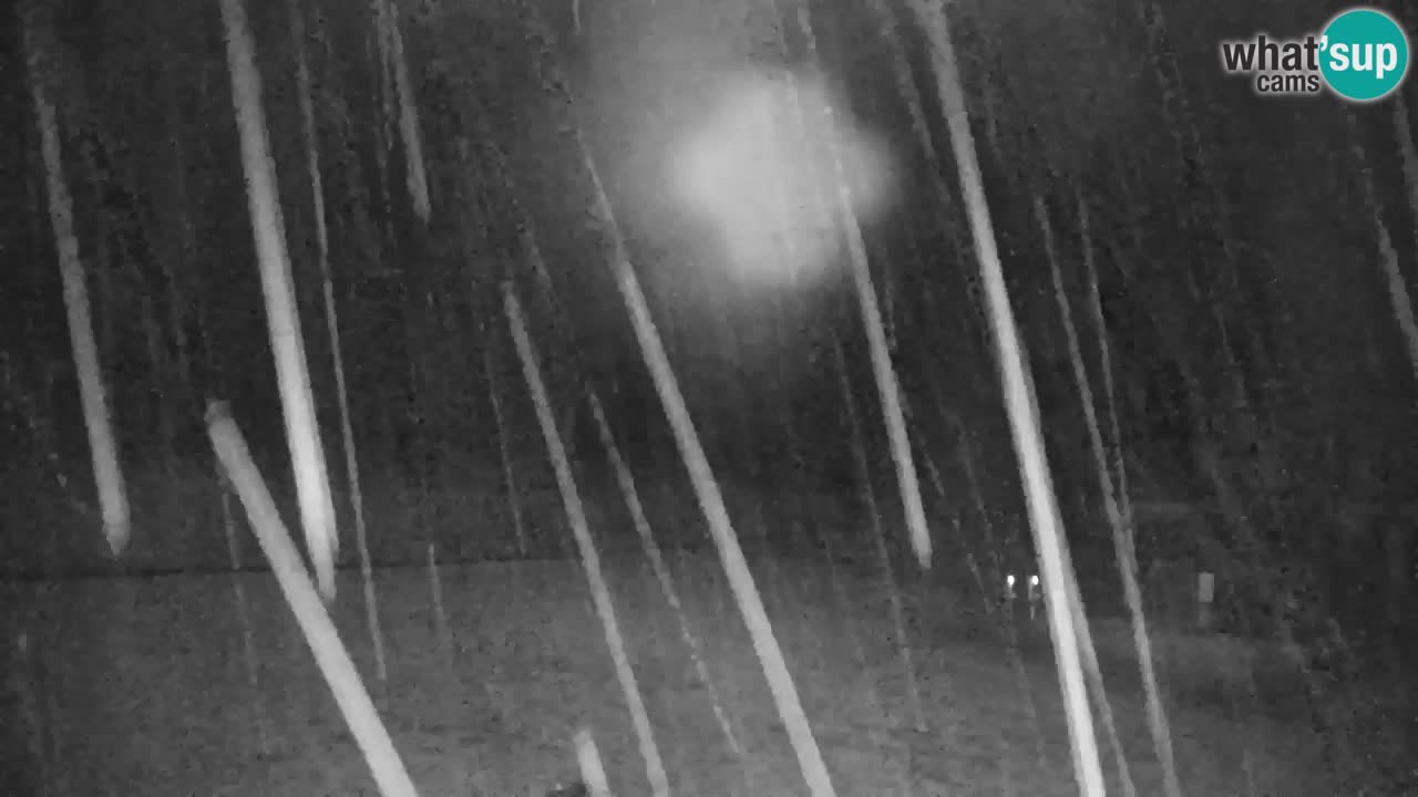 Skigebiet Kranjska Gora | Velika Dolina