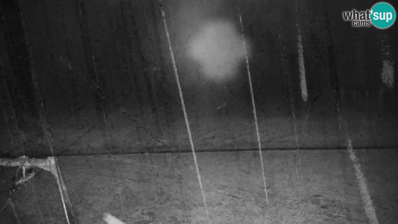 Estación de esquí Kranjska Gora | Velika Dolina