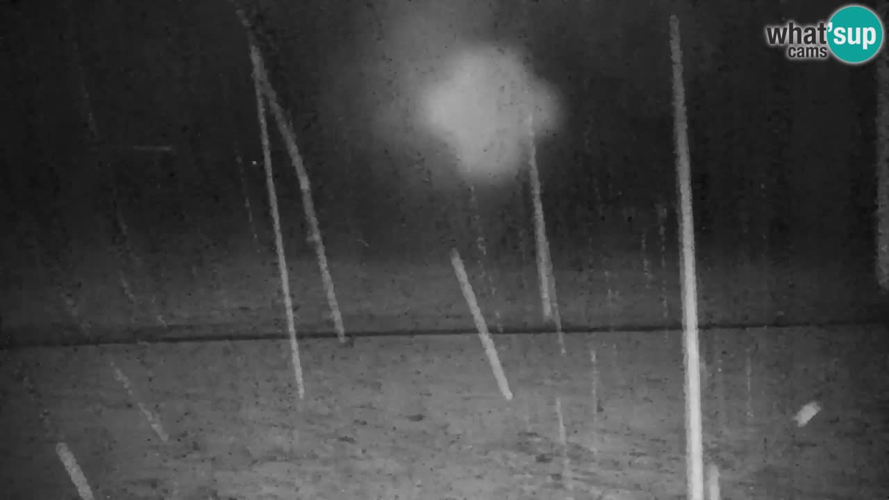 Ski Kranjska Gora | Velika Dolina