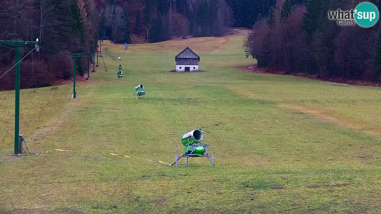 Estación de esquí Kranjska Gora | Velika Dolina