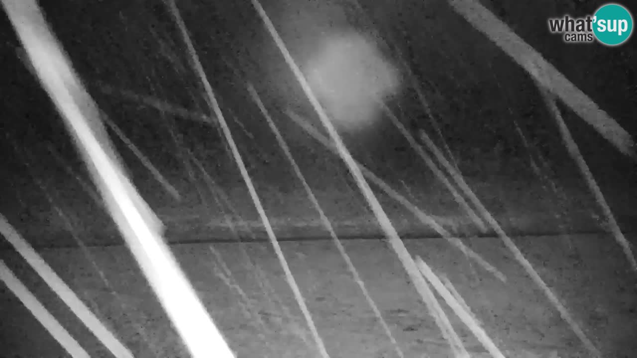 RTC Kranjska Gora | Velika Dolina