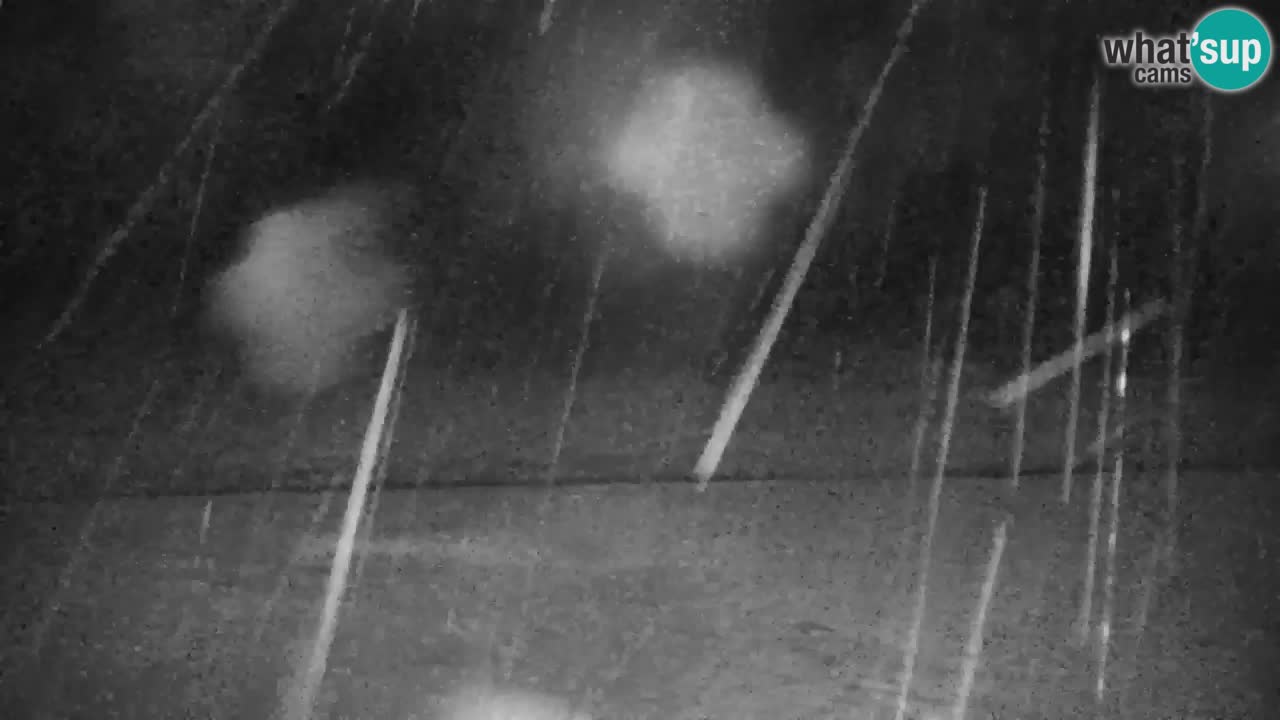 Skijanje Kranjska Gora | Velika Dolina