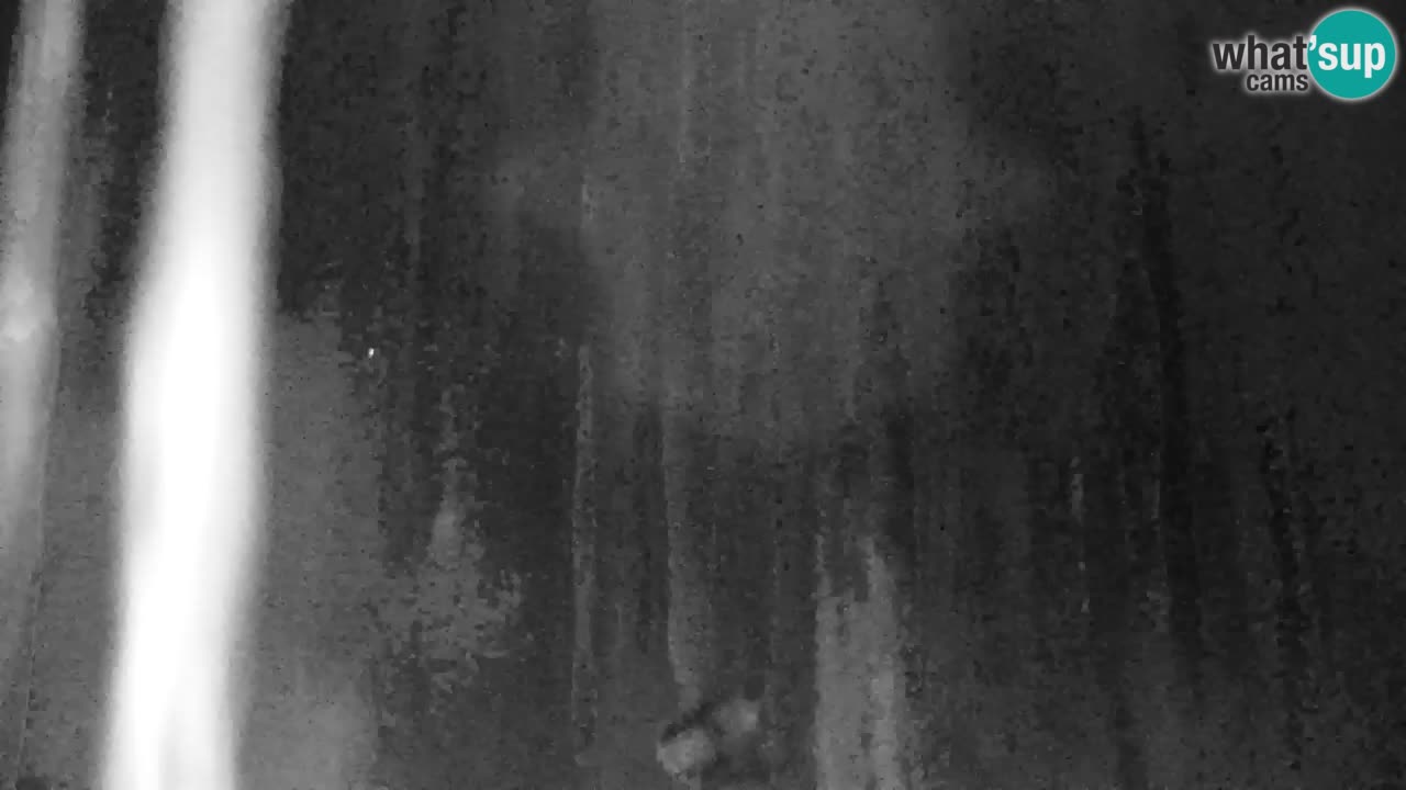 Estación de esquí Kranjska Gora | Velika Dolina