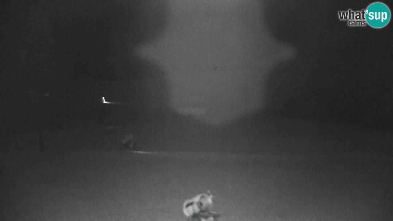 Skijanje Kranjska Gora | Velika Dolina