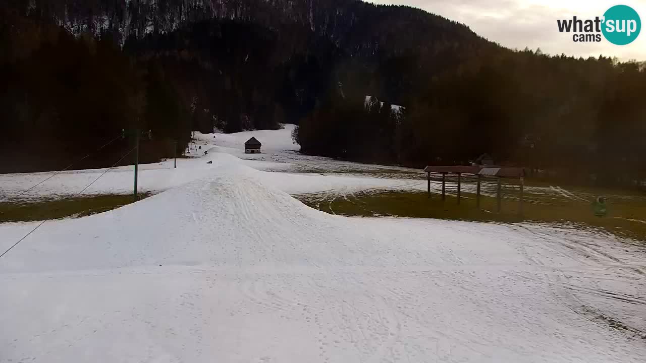Skigebiet Kranjska Gora | Velika Dolina