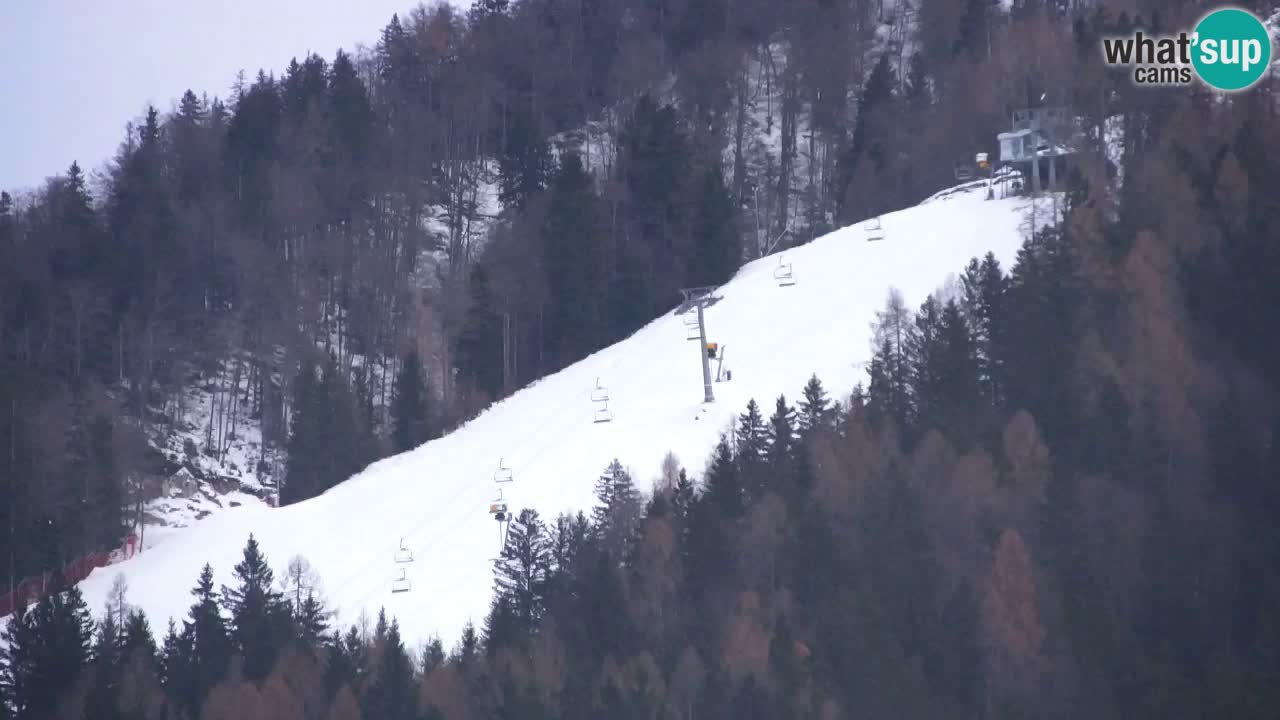 Station de ski Kranjska Gora | Velika Dolina