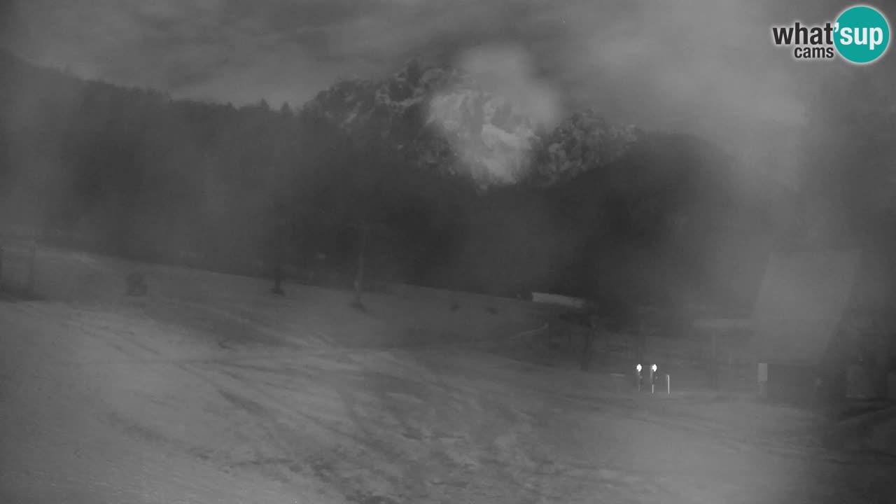 Ski Kranjska Gora | Velika Dolina