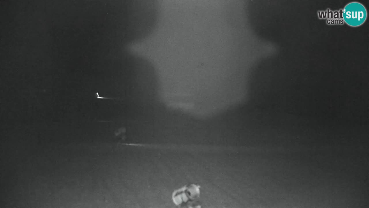 Estación de esquí Kranjska Gora | Velika Dolina