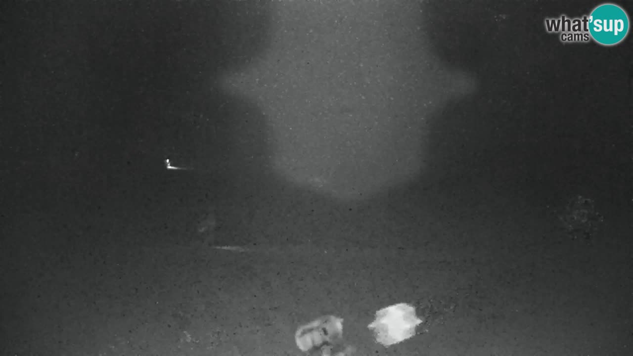 Estación de esquí Kranjska Gora | Velika Dolina