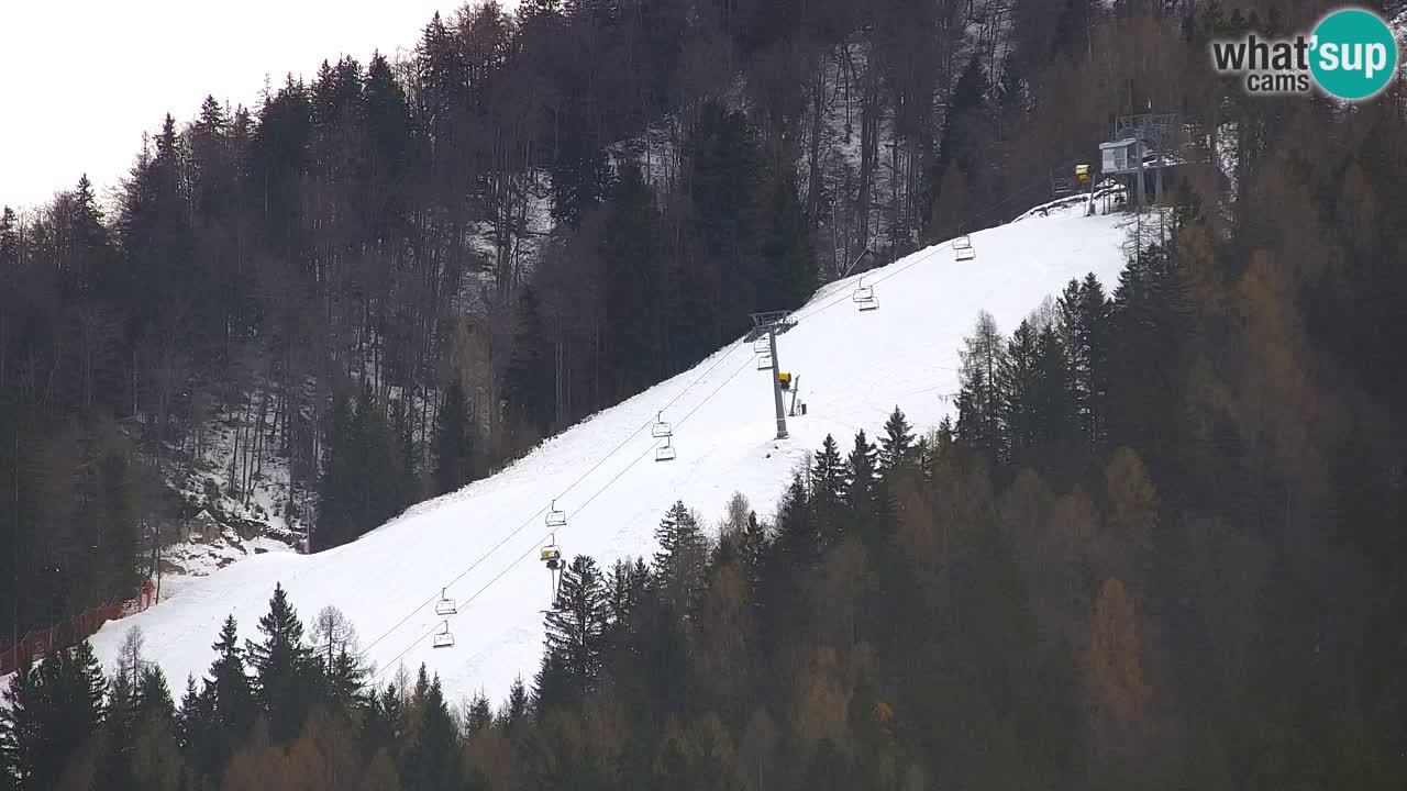 Ski Kranjska Gora | Velika Dolina