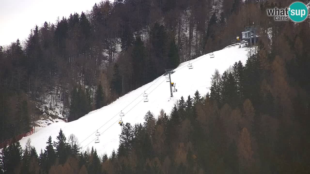 Skigebiet Kranjska Gora | Velika Dolina