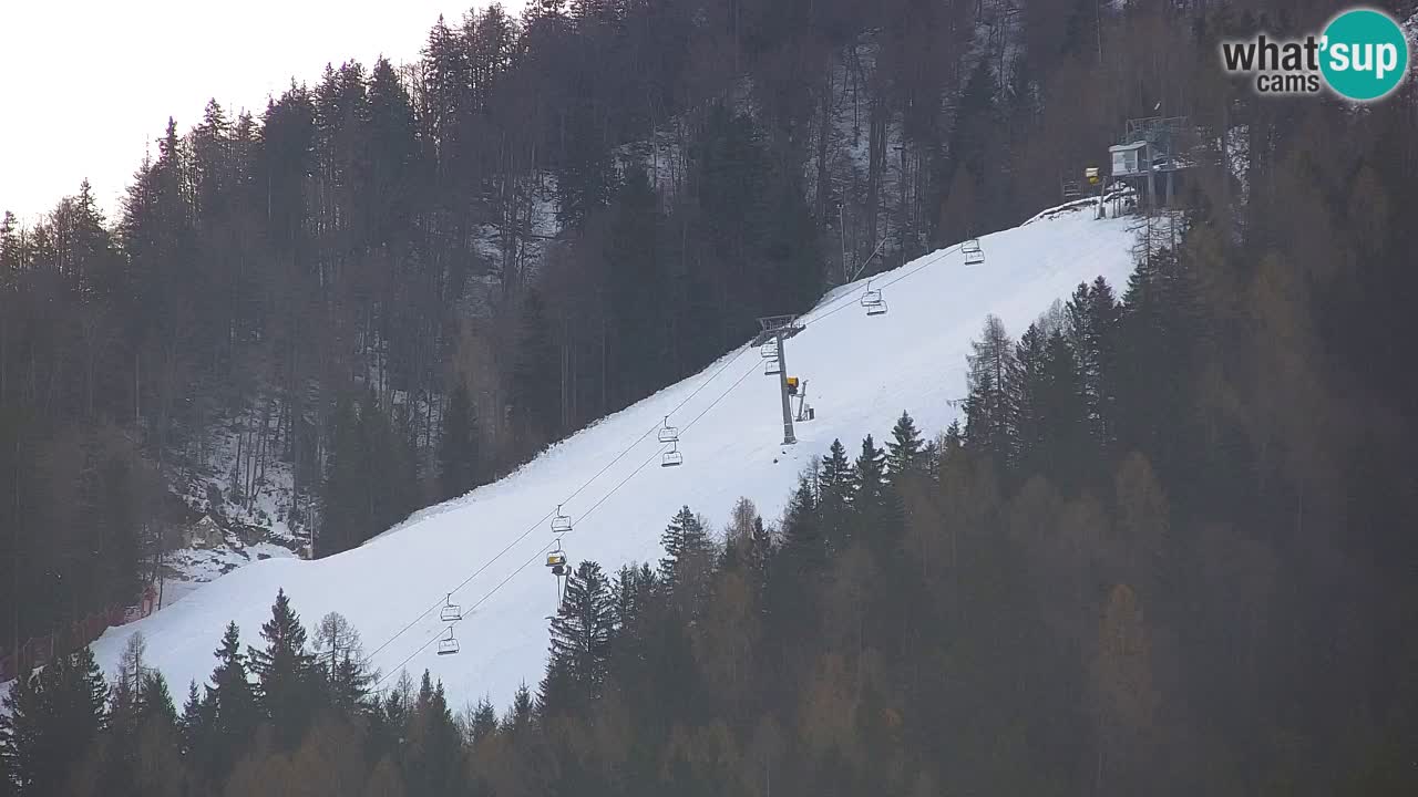 RTC Kranjska Gora | Velika Dolina