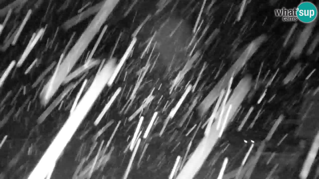 Station de ski Kranjska Gora | Velika Dolina