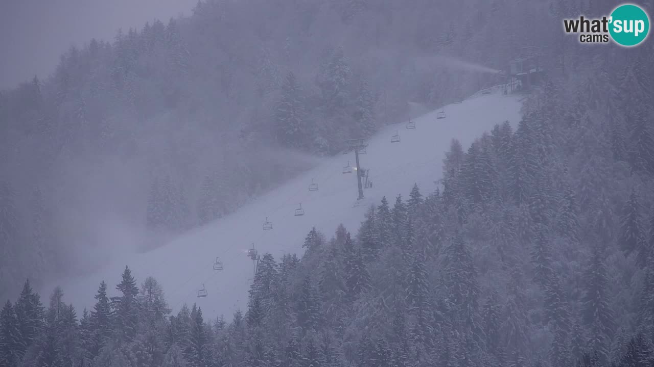 Estación de esquí Kranjska Gora | Velika Dolina