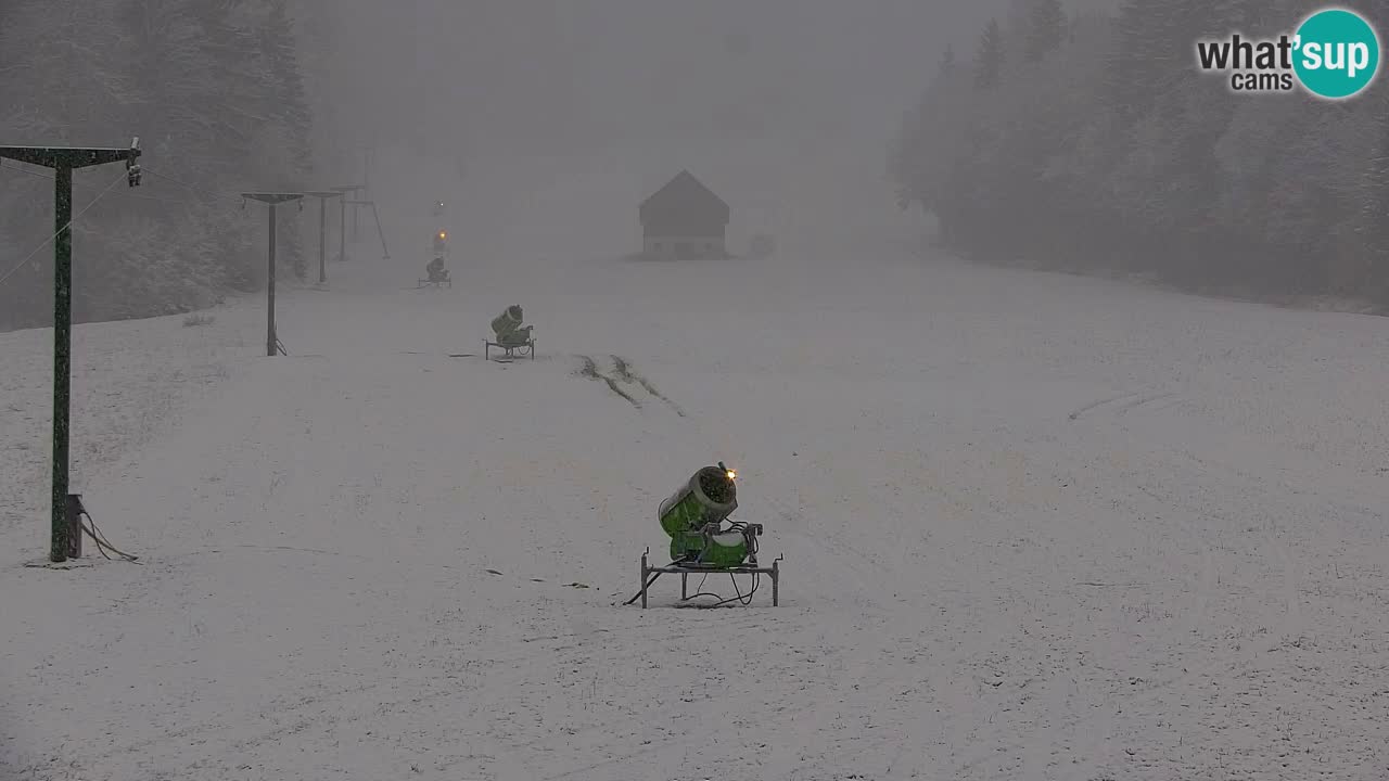 Ski Kranjska Gora | Velika Dolina