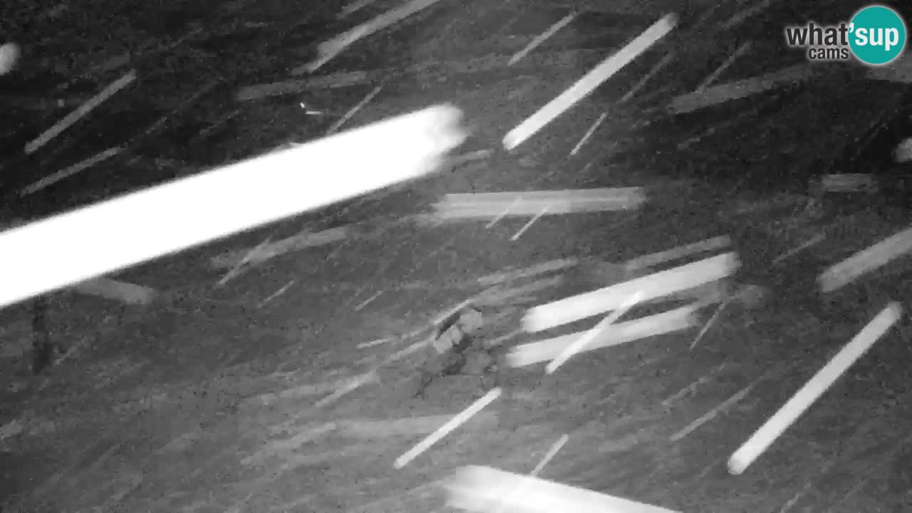 Kranjska Gora | Velika Dolina