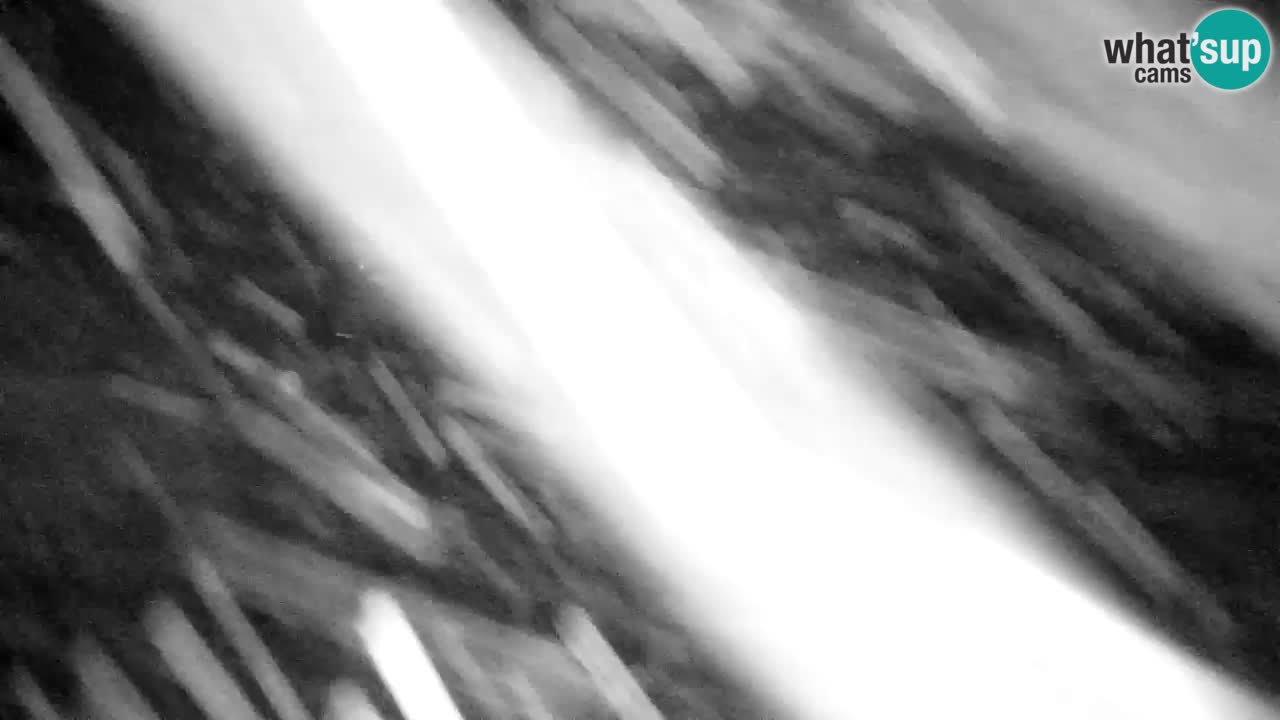 Estación de esquí Kranjska Gora | Velika Dolina