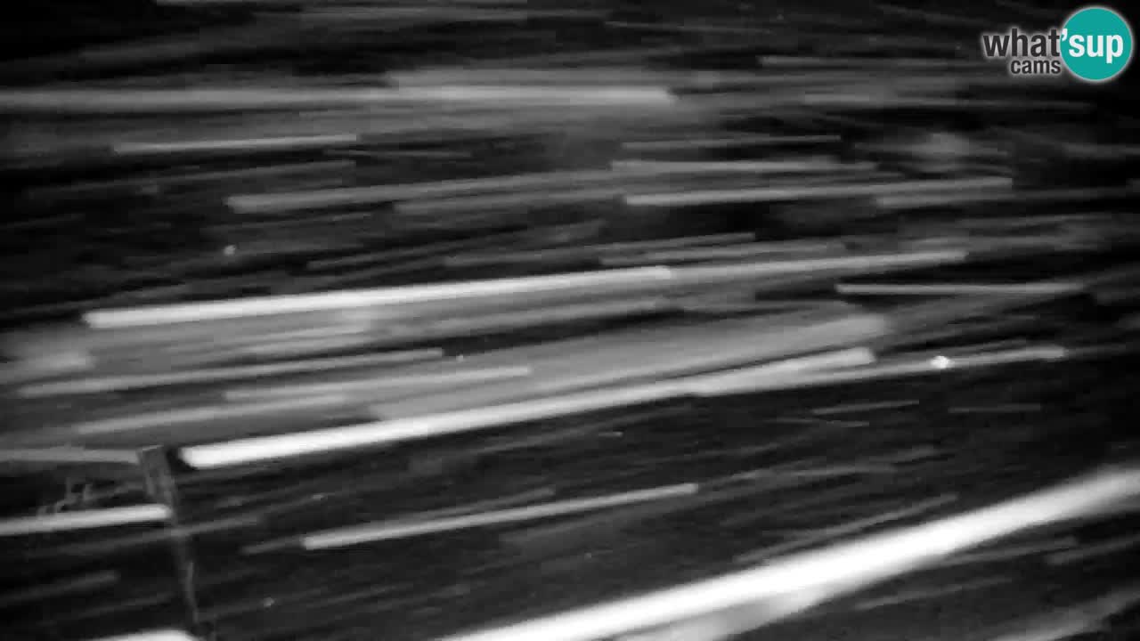 Estación de esquí Kranjska Gora | Velika Dolina