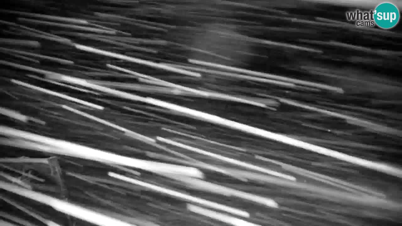 Skigebiet Kranjska Gora | Velika Dolina