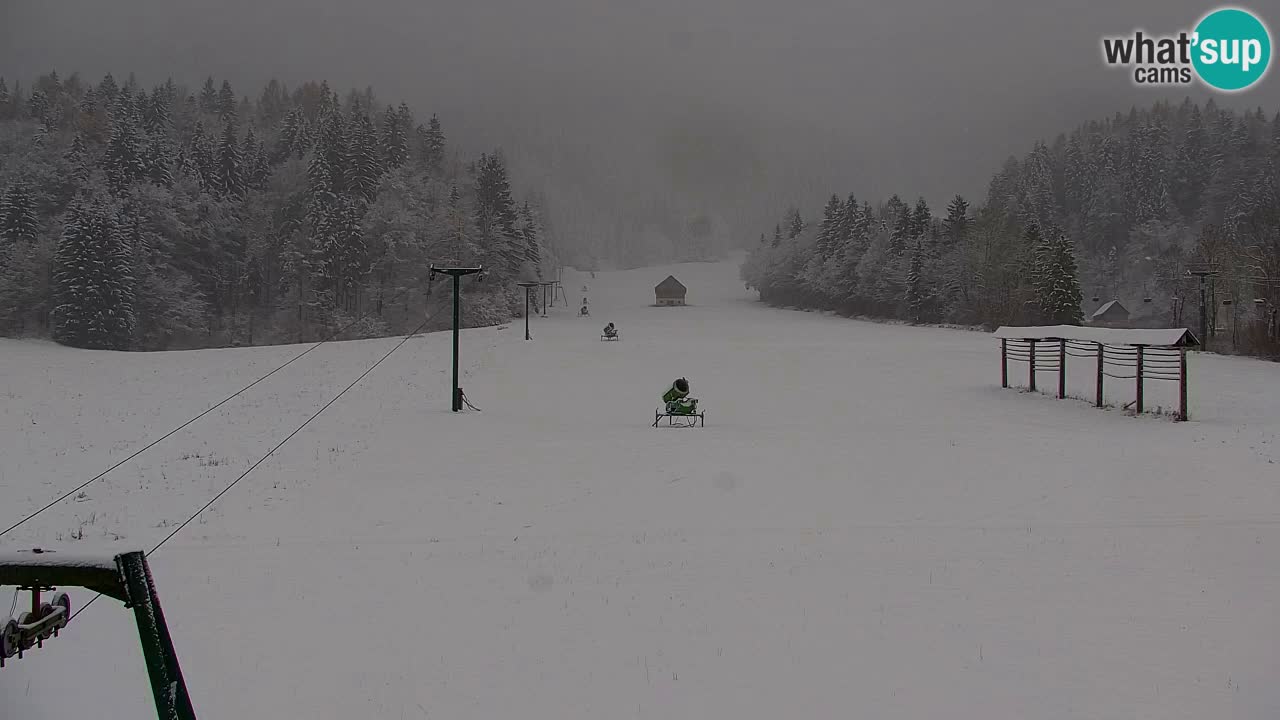 Estación de esquí Kranjska Gora | Velika Dolina