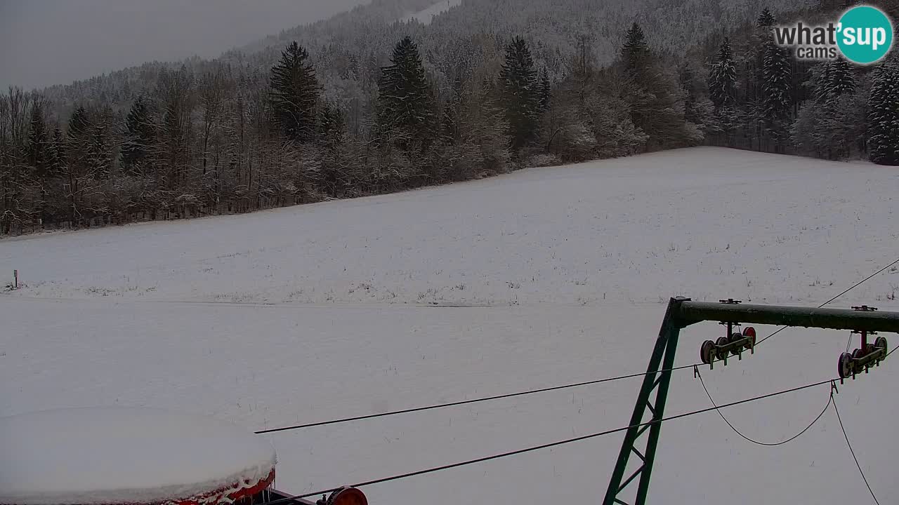 Skigebiet Kranjska Gora | Velika Dolina
