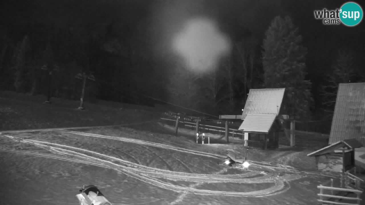 Skijanje Kranjska Gora | Velika Dolina