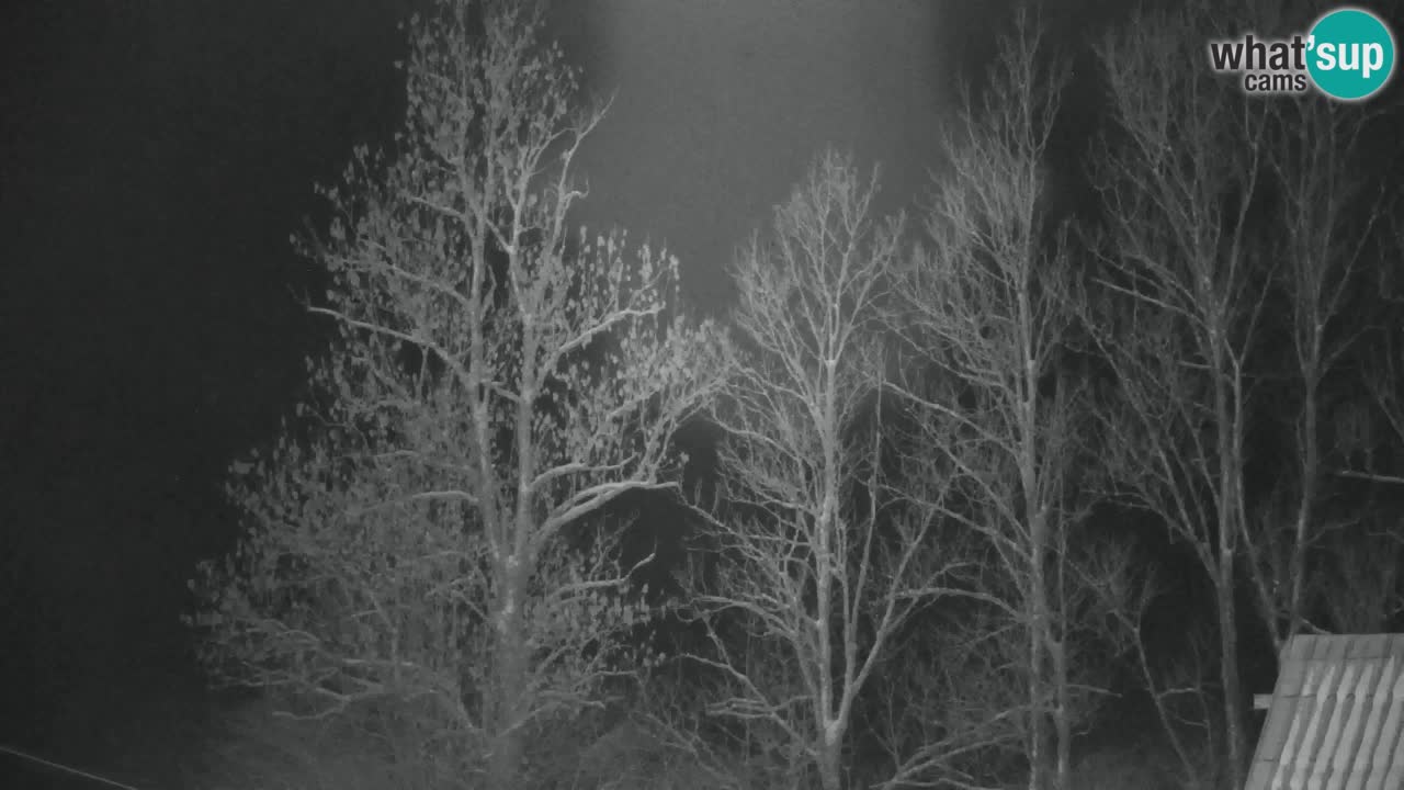 RTC Kranjska Gora | Velika Dolina