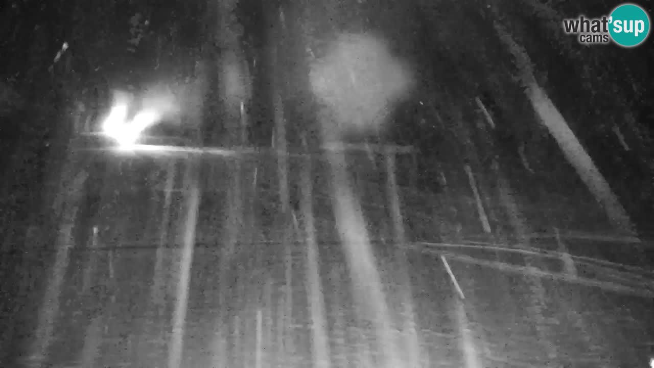 Station de ski Kranjska Gora | Velika Dolina