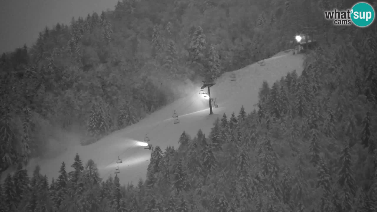 Kranjska Gora | Velika Dolina