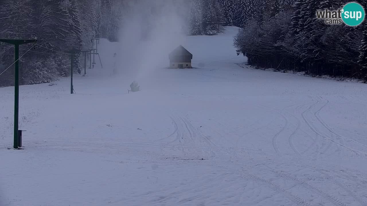 Ski Kranjska Gora | Velika Dolina