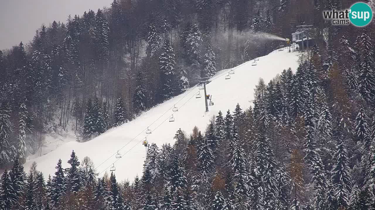 RTC Kranjska Gora | Velika Dolina
