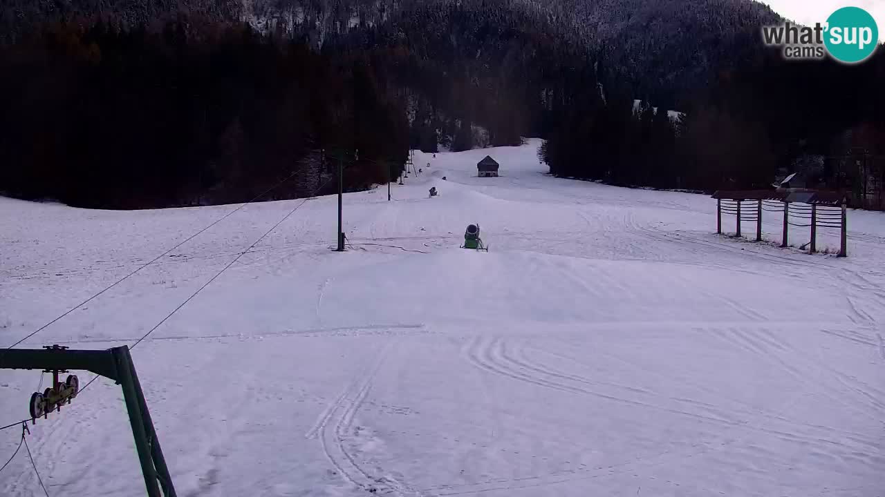 Ski Kranjska Gora | Velika Dolina